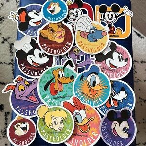 Disney Character Passholder Magnet Collection